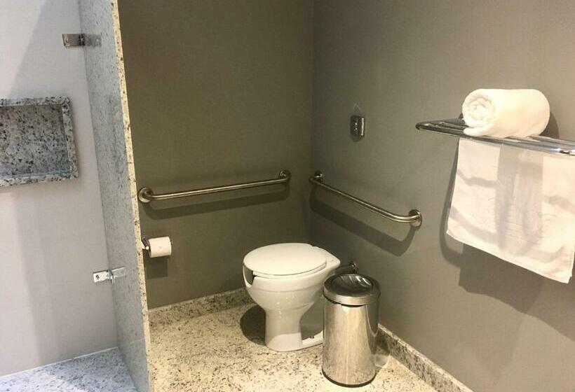 חדר סטנדרט מותאם לאדם עם מוגבלויות, Og