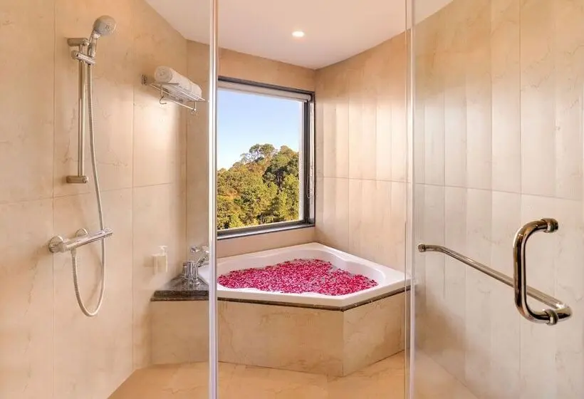 デラックススイート, Lemon Tree Hotel, Kasauli