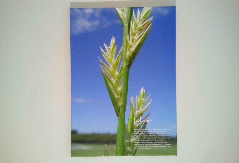 غرفة ديلوكس مزودة بشرفة, B&b In De Wei