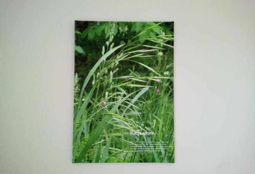 غرفة ديلوكس مزودة بشرفة, B&b In De Wei