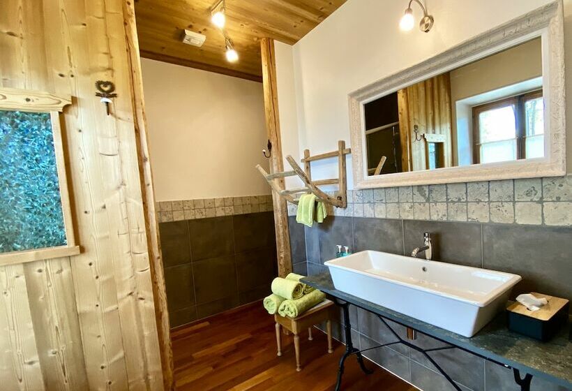 غرفة سوبيريور إطلالة على البحيرة, Les O D Annecy