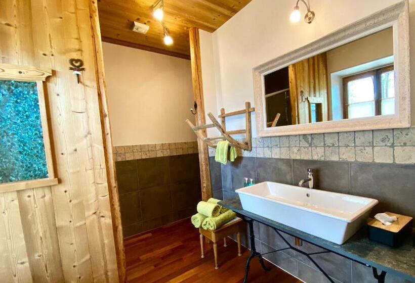 غرفة ديلوكس مطلة على البحيرة, Les O D Annecy