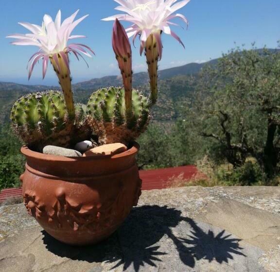 חדר סטנדרט נוף לים, Agricoltura Rascio