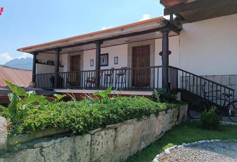 سوییت جونیور, Vintage  Rialto