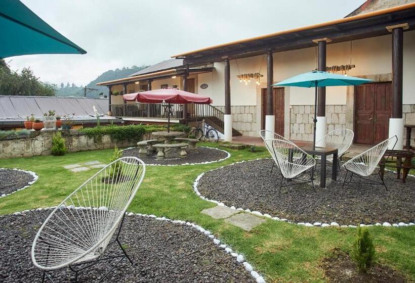 سوییت جونیور, Vintage  Rialto