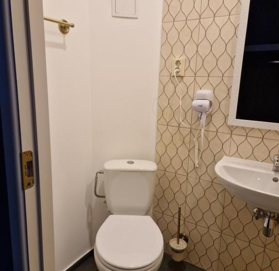 اتاق استاندارد, Kārklu Muiža