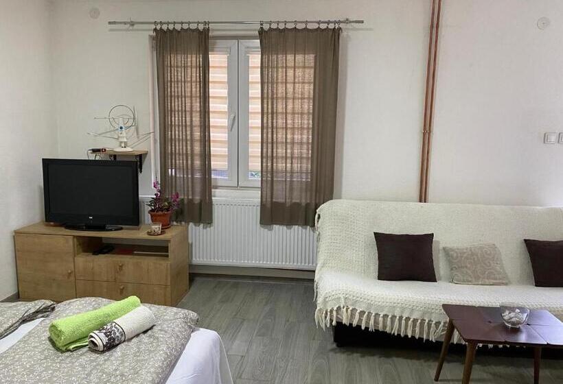 اتاق استاندارد, Petković Apartman