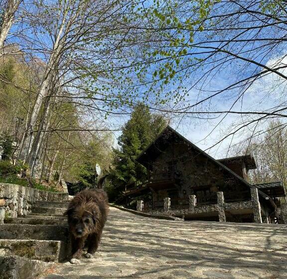 带1个卧室的别墅, Pensiunea Lac