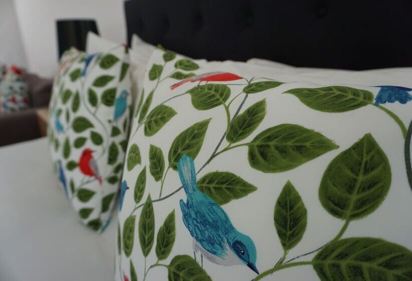 شقة غرفة واحدة, Ashmont Motel And Apartments