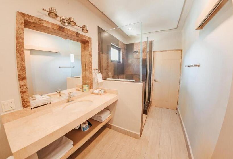 주니어 스위트 바다 전망, Castillo Blarney Inn