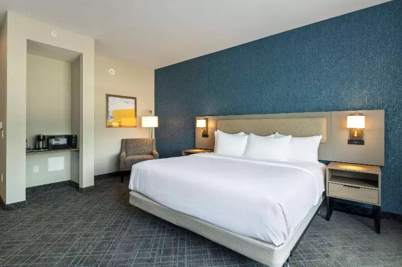 اتاق استاندارد با تخت بزرگ, Comfort Inn & Suites