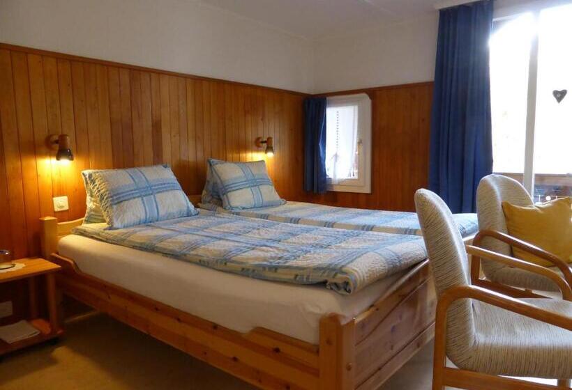 スタンダードルーム, Pension Alpina