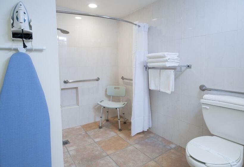 חדר סטנדרט מיטה זוגית, Holiday Inn Ciudad Del Carmen, An Ihg