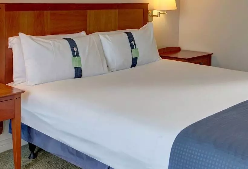 スタンダードルーム, Holiday Inn Fareham Solent, An Ihg