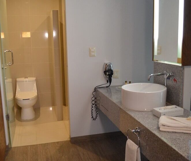 Номер Executive, Plaza Camelinas