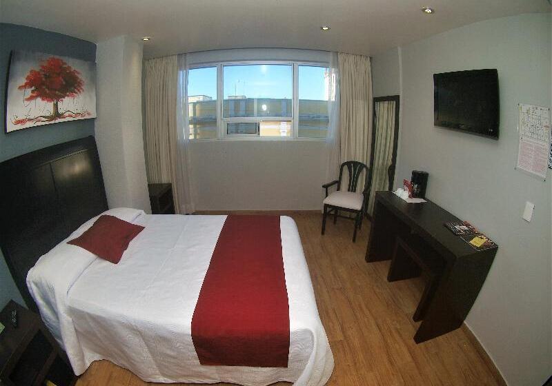 Номер Стандарт Индивидуальный, Roma Guadalajara In Downtown