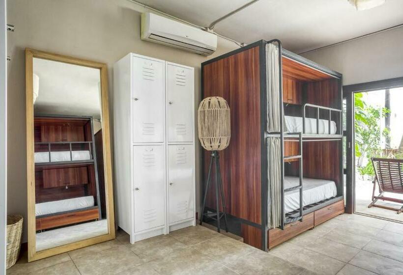 سرير فى غرفة مشتركه, Selina Tulum