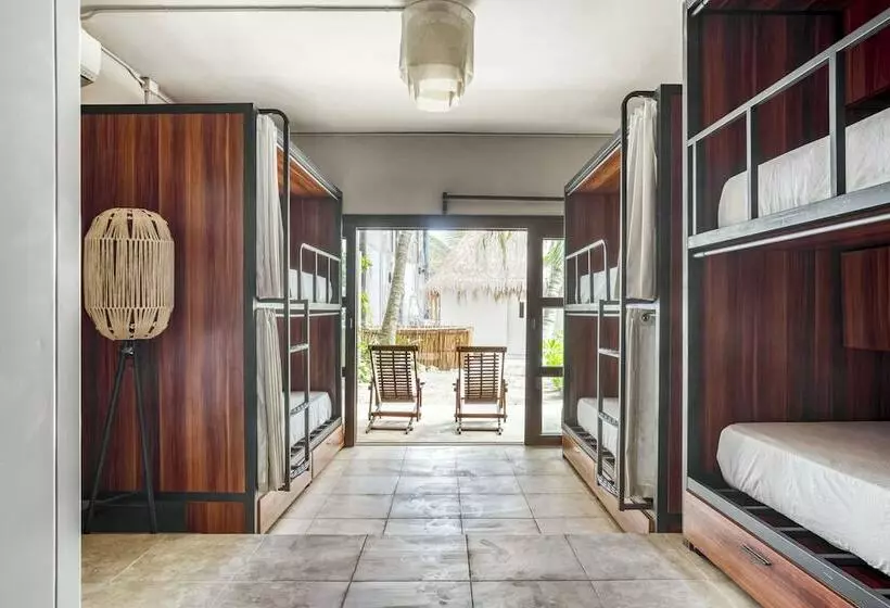 تختخواب در اتاق مشترک, Selina Tulum