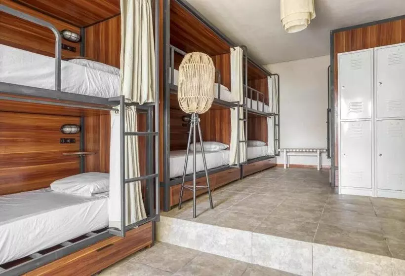 تختخواب در اتاق مشترک, Selina Tulum