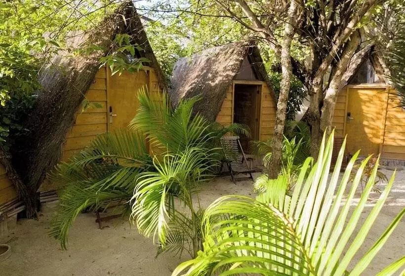 چادر با خدمات رفاهی استاندارد, Selina Tulum