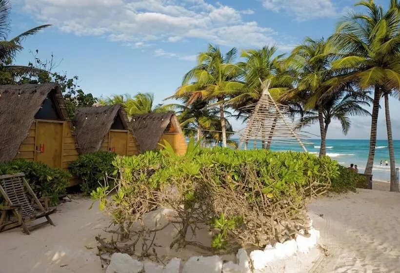 چادر با خدمات رفاهی استاندارد, Selina Tulum