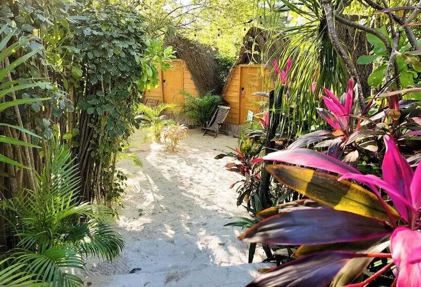 چادر با خدمات رفاهی استاندارد, Selina Tulum