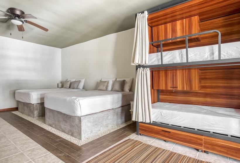 سرير فى غرفة مشتركه, Selina Tulum