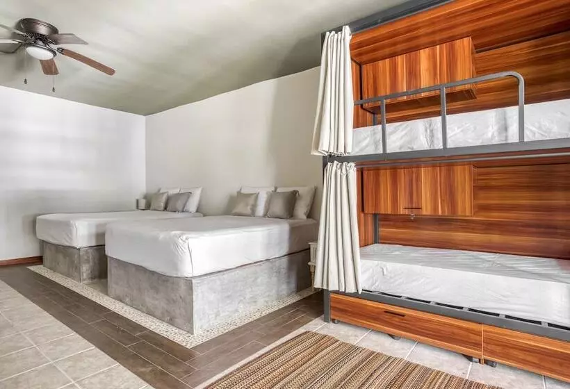 تختخواب در اتاق مشترک, Selina Tulum