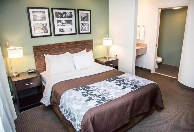 Standard-huone, Sleep Inn University Place