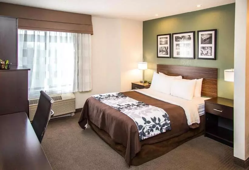 Standard-huone, Sleep Inn University Place