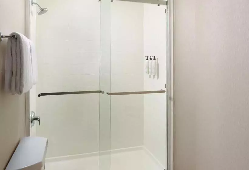 キングサイズベッドのスイートルーム, Springhill Suites Charlotte University Research Park