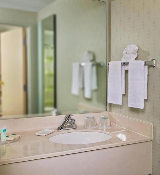 带大床的套房, Springhill Suites Charlotte University Research Park