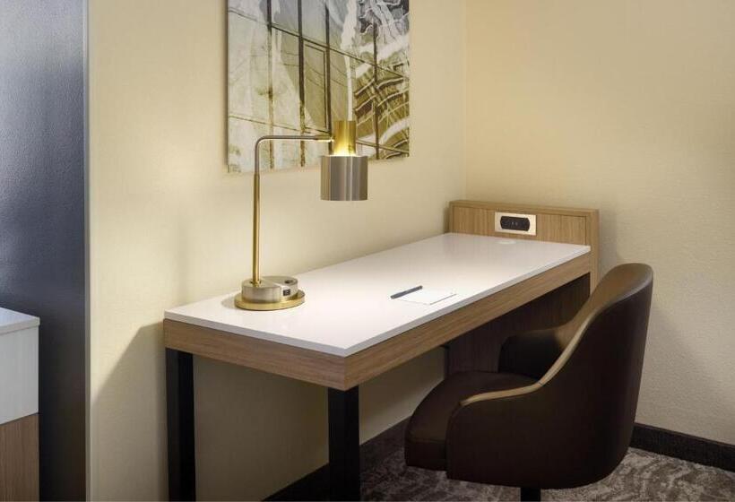 Люкс Кровать Кинг, Springhill Suites Charlotte University Research Park