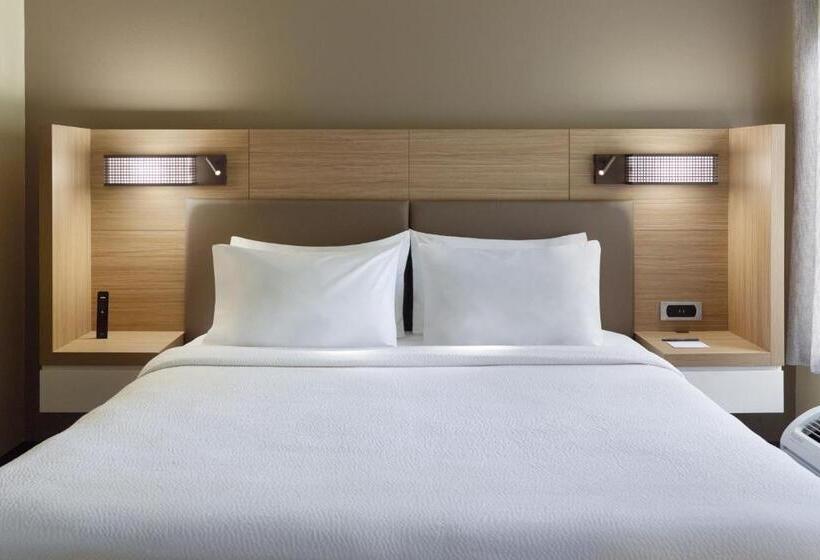 带大床的套房, Springhill Suites Charlotte University Research Park