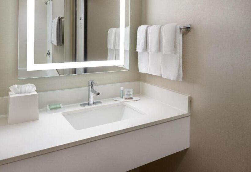 套房, Springhill Suites Charlotte University Research Park