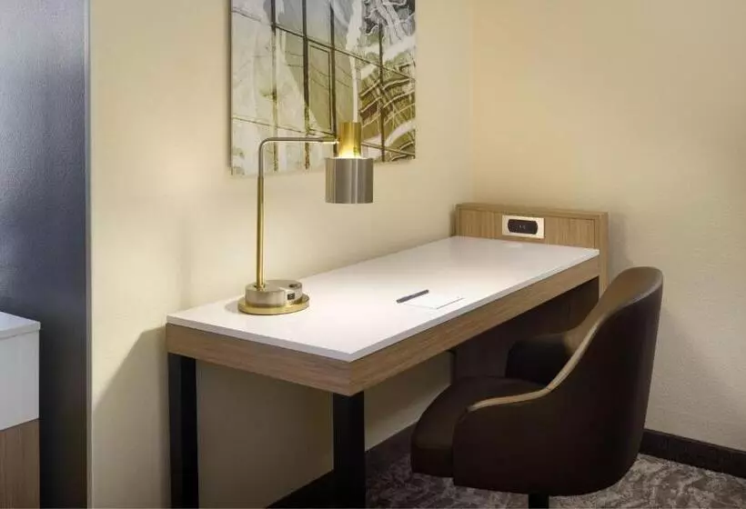 スイート, Springhill Suites Charlotte University Research Park