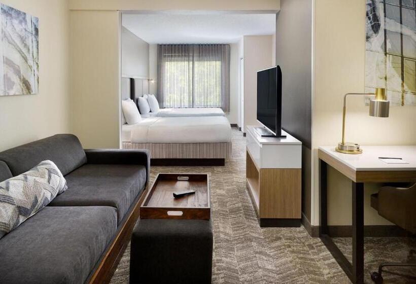 Номер Стандарт 2 Двуспальные Кровати, Springhill Suites Charlotte University Research Park