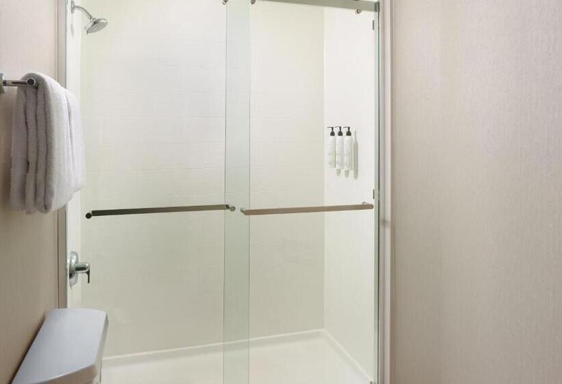 Стандартный Номер Кровать Кинг, Springhill Suites Charlotte University Research Park