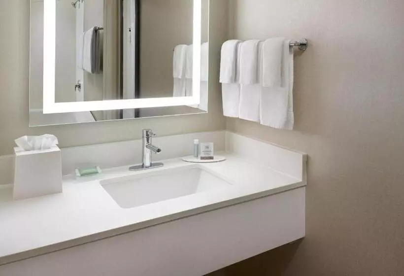 キングサイズベッドのスタンダードルーム, Springhill Suites Charlotte University Research Park