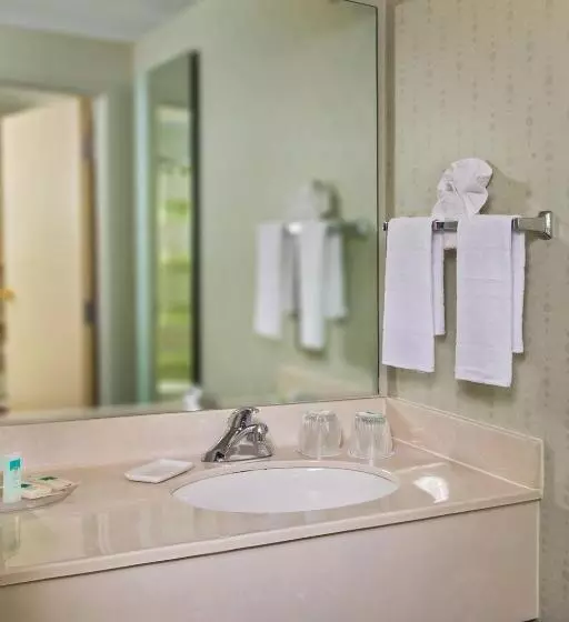 キングサイズベッドのスタンダードルーム, Springhill Suites Charlotte University Research Park