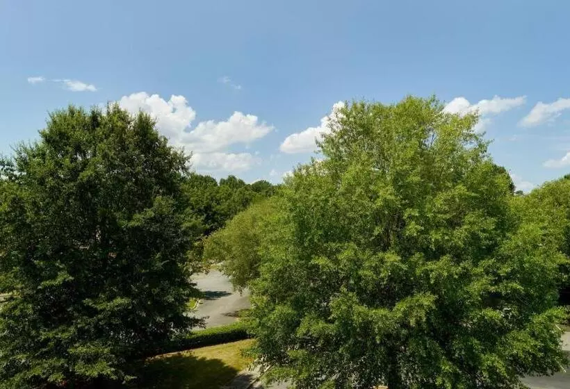 キングサイズベッドのスタンダードルーム, Springhill Suites Charlotte University Research Park