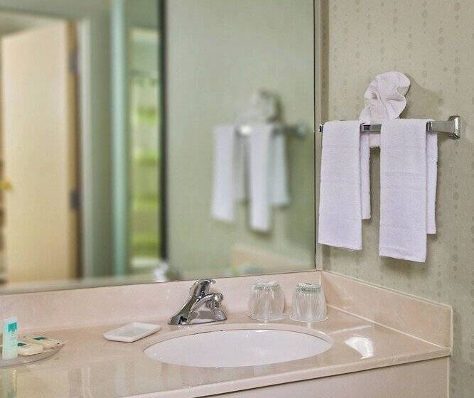 带2个双人床的标准工作室, Springhill Suites Charlotte University Research Park