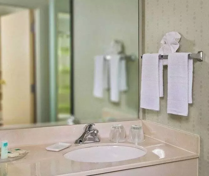 ２ダブルベッドのスタンダードルーム, Springhill Suites Charlotte University Research Park