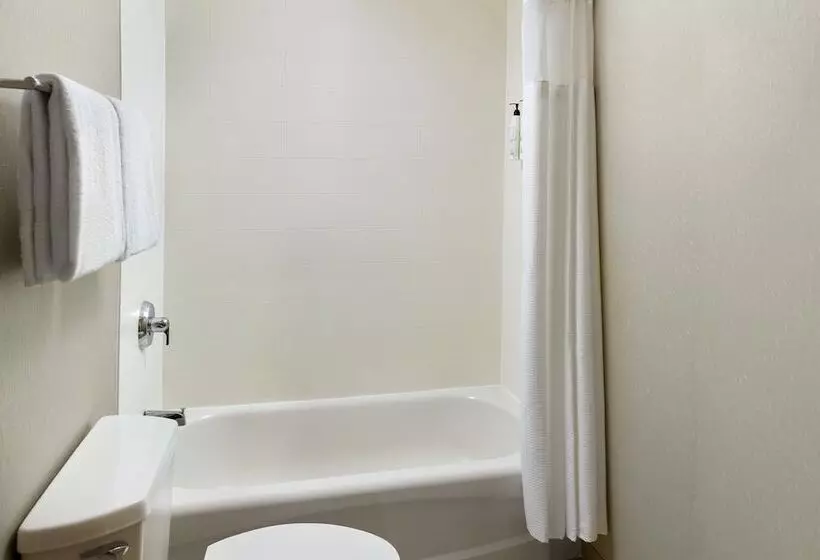 ２ダブルベッドのスタンダードルーム, Springhill Suites Charlotte University Research Park