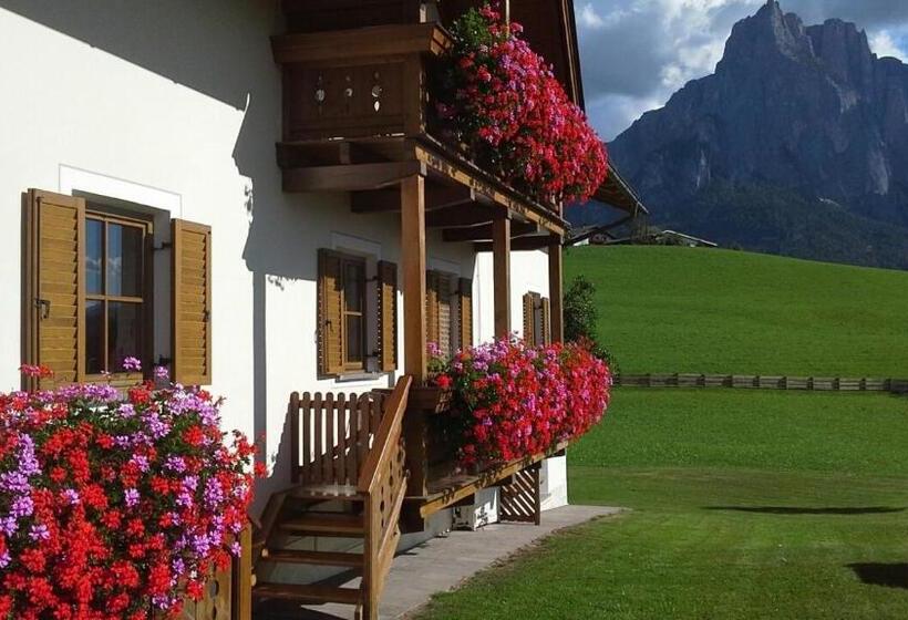 آپارتمان 1 خوابه با بالکن, Kachlerhof