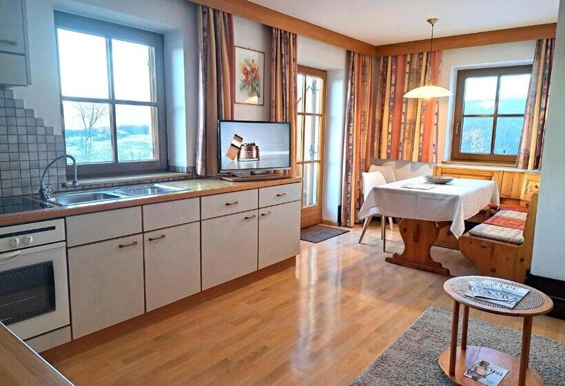 آپارتمان 1 خوابه با چشمانداز باغ, Kachlerhof