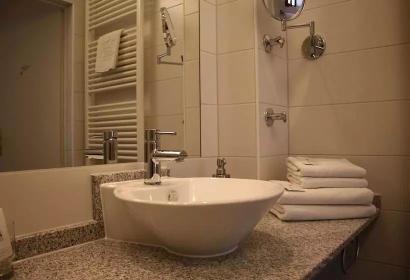 スタンダードルーム, Bed & Breakfast Hotel Müllerhof