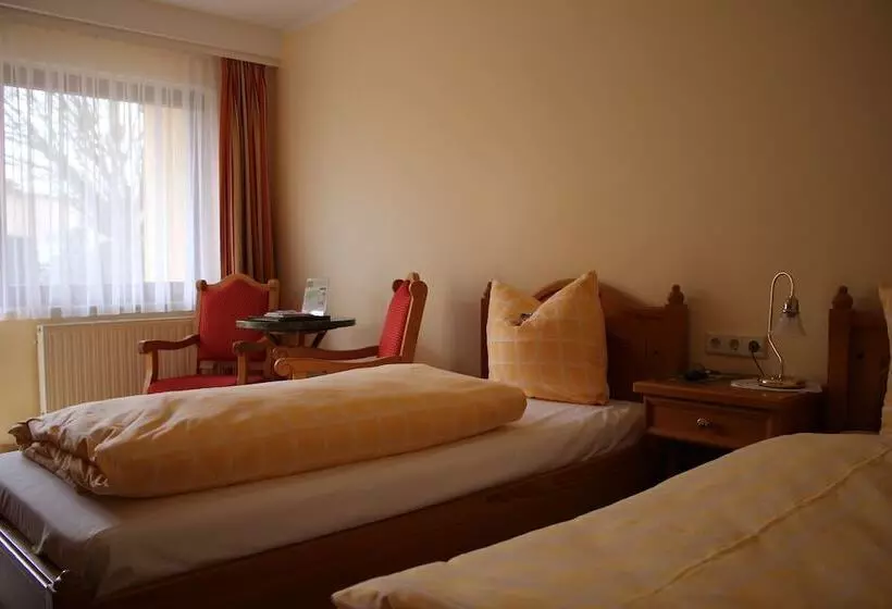 スタンダードルーム, Bed & Breakfast Hotel Müllerhof