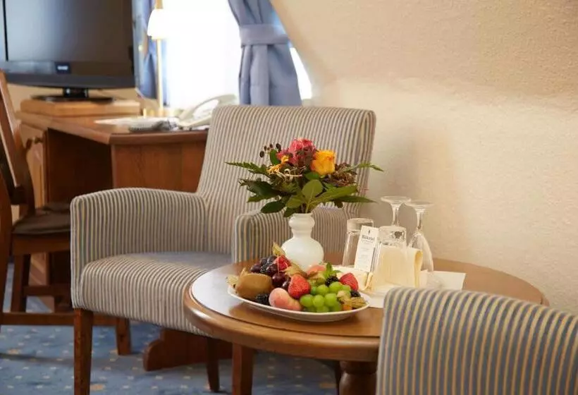 スタンダードルーム, Bed & Breakfast Hotel Müllerhof