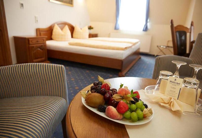 스탠다드 룸, Bed & Breakfast Hotel Müllerhof